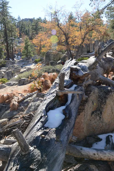 DSC_5113 (Large).JPG